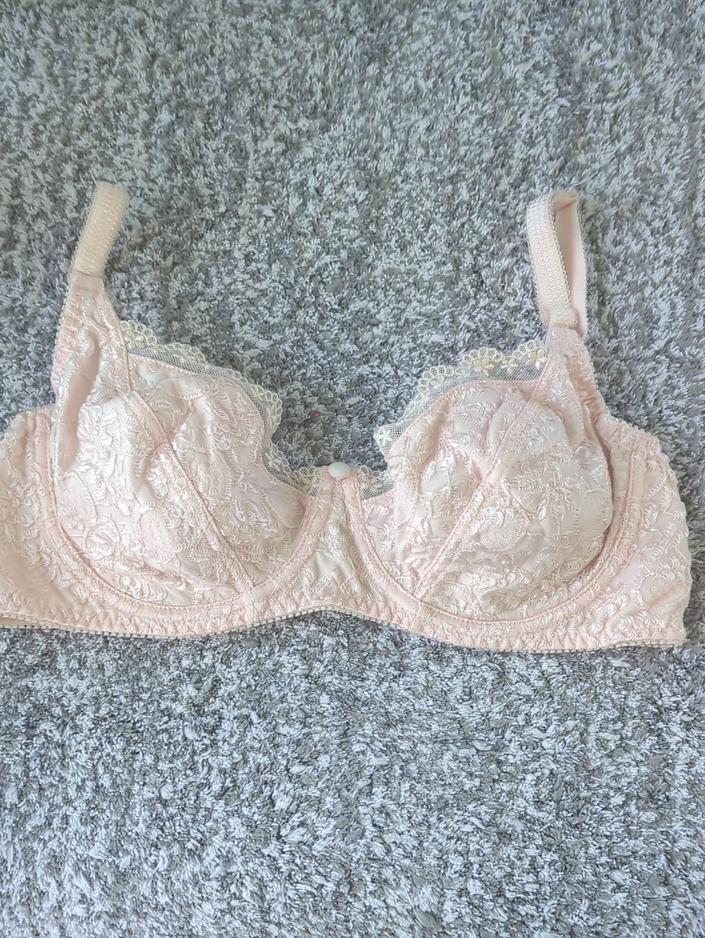 Embroidered Lace Underwire Bra in Blush Pink 36C